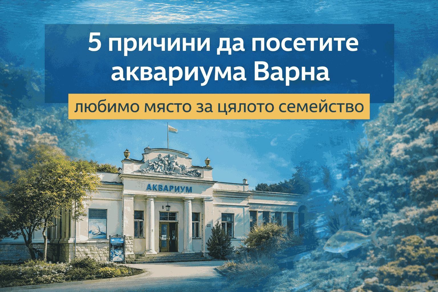 Идеи за вълнуващо посещение в аквариума Варна, какво да очаквате и защо си заслужава